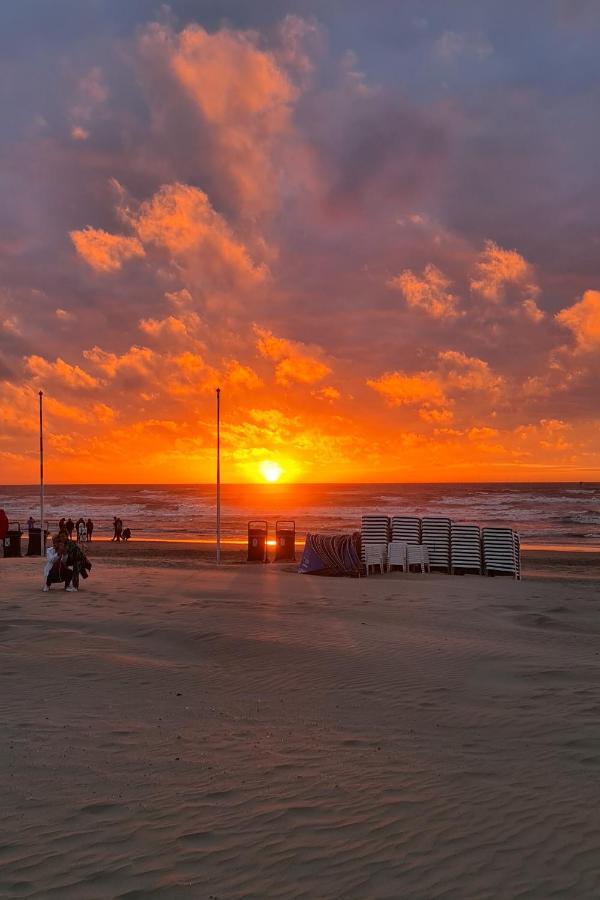 B&B Het Duinhuisje Met Jacuzzi, Gratis Parkeren, 2 Fietsen Te Leen, Airco Zandvoort Exteriér fotografie